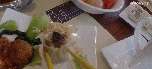 A GoPro Strapped To Chopsticks Shows How Fun It Is To Eat Exotic Foods