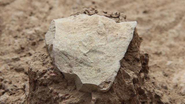 The World’s Oldest Stone Tools Were Not Made By Humans