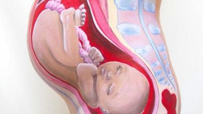 Bodypaint Shows How A Baby Fits Inside A Pregnant Woman’s Body