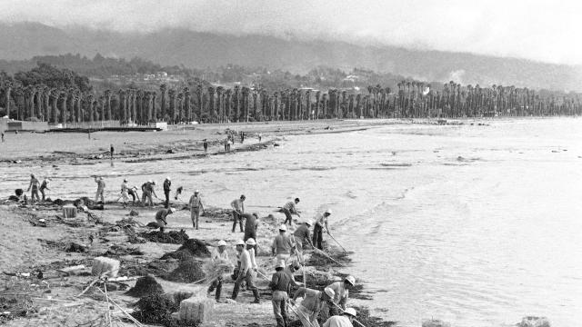 Not Again: How A 1969 Oil Spill Devastated The Santa Barbara Coast