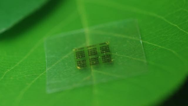 We Can Now Make Computer Chips Out Of Wood
