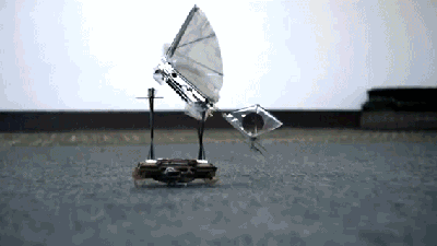 Robotic Cockroaches Are Perfect Tiny Aircraft Carriers For Robotic Birds