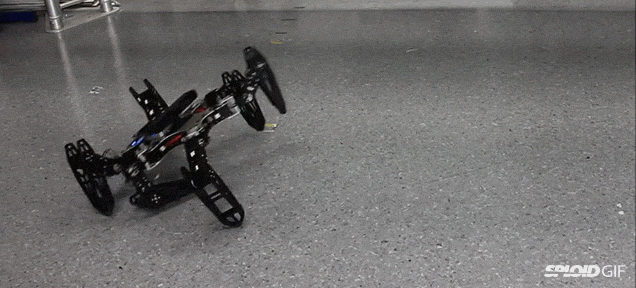 Video: Injured Robots Can Now Adapt And Learn How To Walk With A Limp