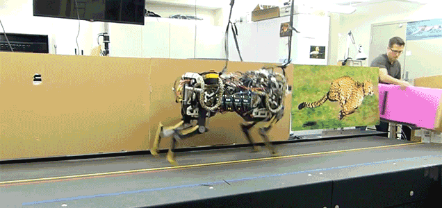 MIT’s Robot Cheetah Now Jumps While Running, So Walls Won’t Protect You