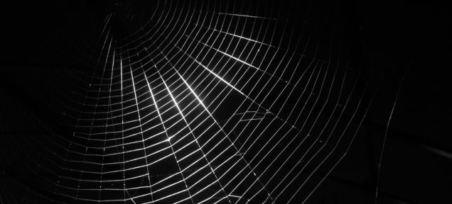 Scientists Are Spinning Spider Silk Without The Spiders