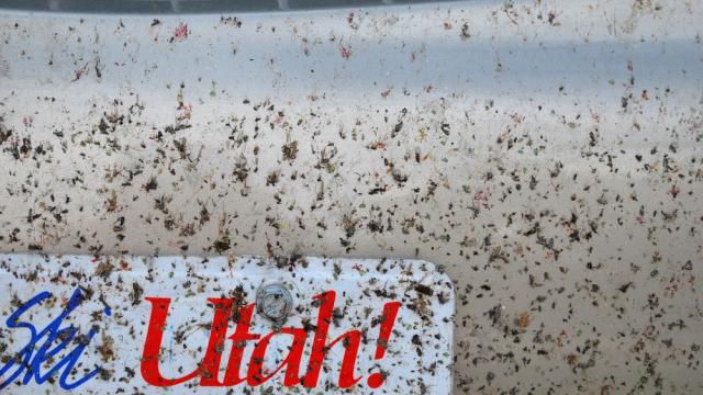 NASA Has A Fix For The Billion-Dollar Problem Of Splattered Bug Guts