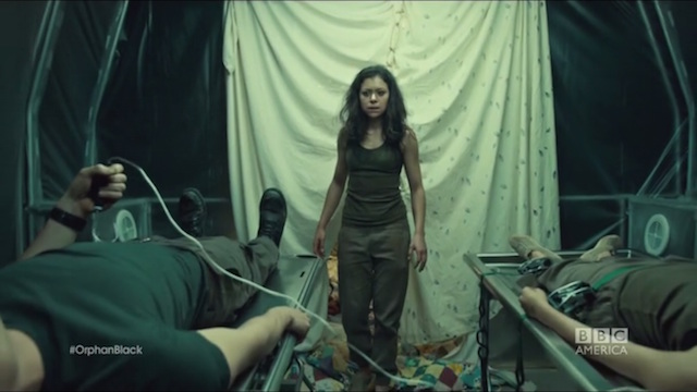 Orphan Black’s Crazy Bioweapon Actually Exists In Nature