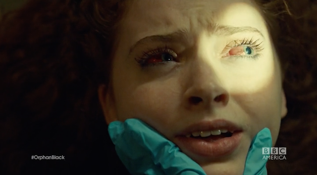 Orphan Black’s Crazy Bioweapon Actually Exists In Nature