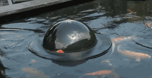 A Floating Observation Dome Gives Fish A Glimpse Of The Outside World
