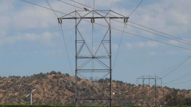 How Bird Poop Changed The Design Of Southern California’s Power Grid