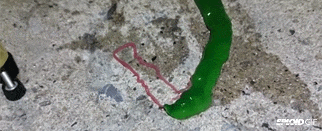 What In The Monster Hell Is This Scary, Bright Green And Pink Gooey Worm?