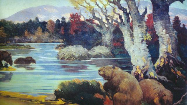 North America Was Once Full Of Super-Tiny Beavers And Super-Giant Ones