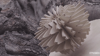 Mind-Bending Sculptures In Nature Make Me Question My Reality