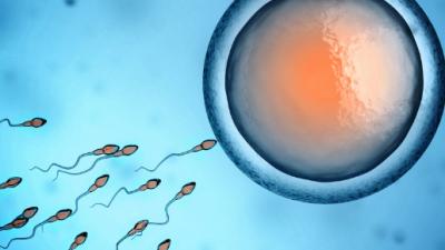 A New Way To Track Sperm Could Make IVF Easier