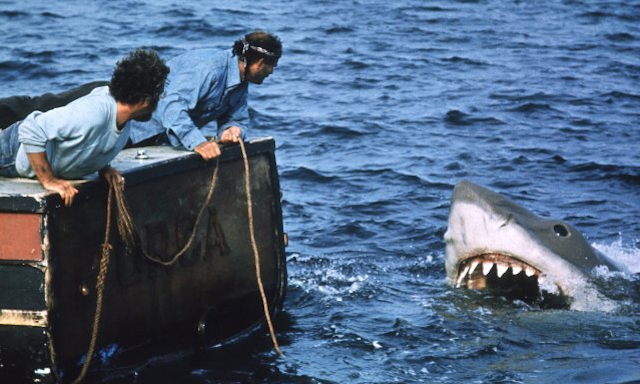 40 Years Of Bad Science: How Jaws Got Everything Wrong About Sharks