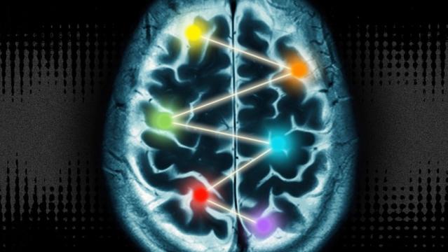 The 10 Per Cent Of The Brain Myth Is Still Rubbish, Neuroscientists Say