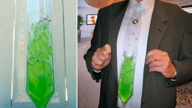 A See-Through Ant Farm Tie Is The Perfect Dress Code Rebellion