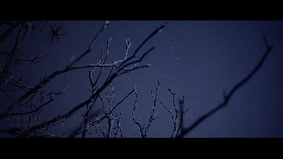 Intense Sci-Fi Film Shot Entirely In Moonlight Looks Completely Alien