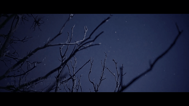 Intense Sci-Fi Film Shot Entirely In Moonlight Looks Completely Alien