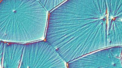 The Solar Cells Of The Future Look Very Pretty Up Close