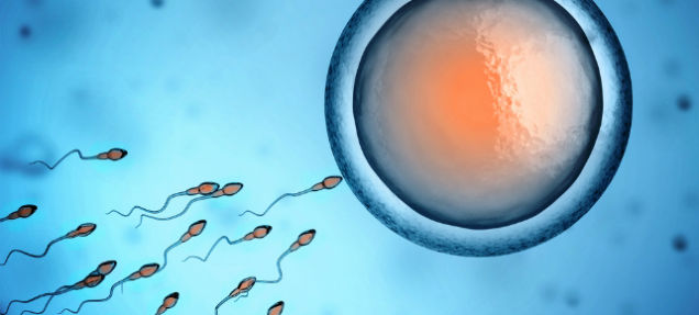 There Are Weird Undeveloped Sperm In Your Semen (But No Need To Worry)