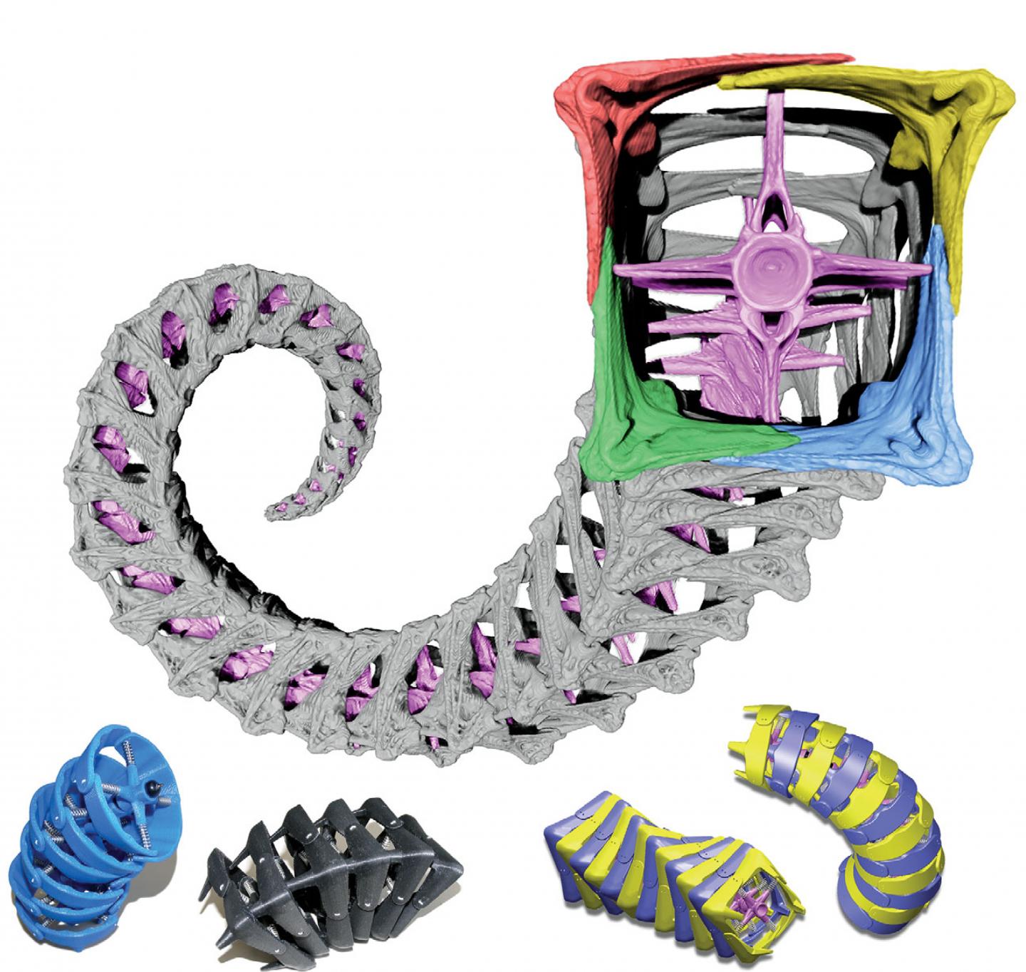 This Little Seahorse Will Teach Us How To Build Better Robots