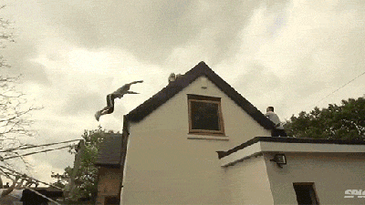 Watch This Mad Man Use A Swing Set To Jump And Fly Over An Entire House