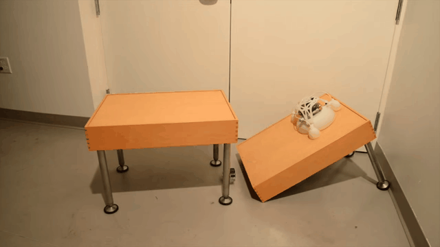 This Jumping Robot Is Extremely Cute… And Very Difficult To Destroy