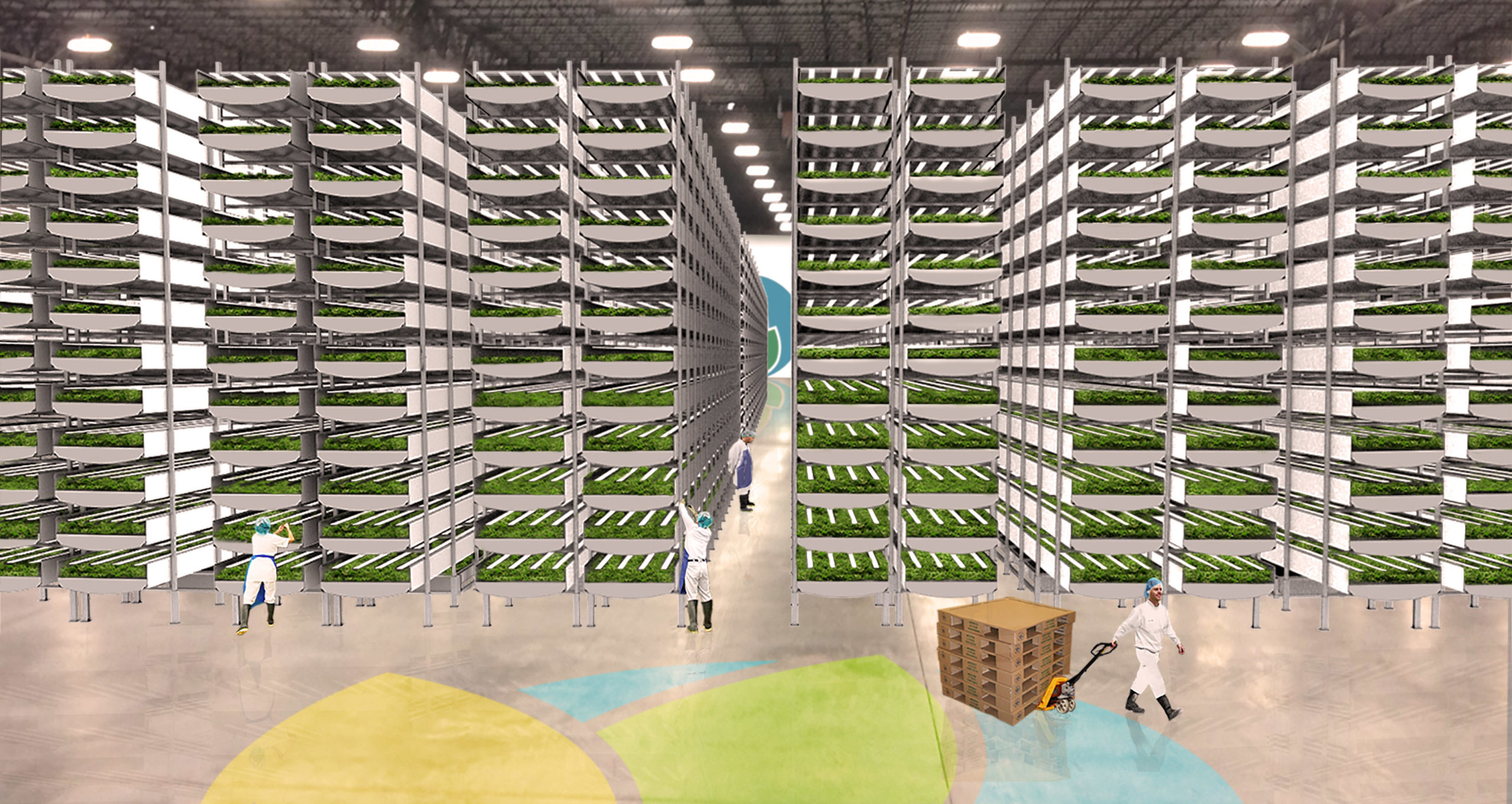 The World’s Largest Indoor Vertical Farm Is Being Built In The US