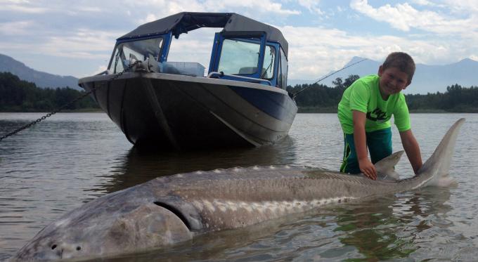 New Stoves, Sleeping Pads And Kids With 270kg Fish: What’s New Outside