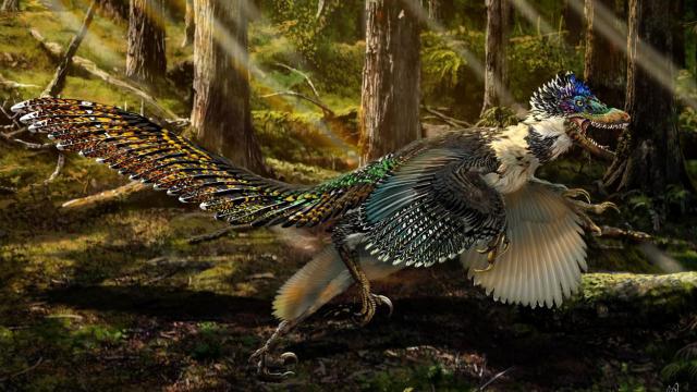 Velociraptor’s Feathered Cousin Is The Stuff Of Drug-Infused Nightmares