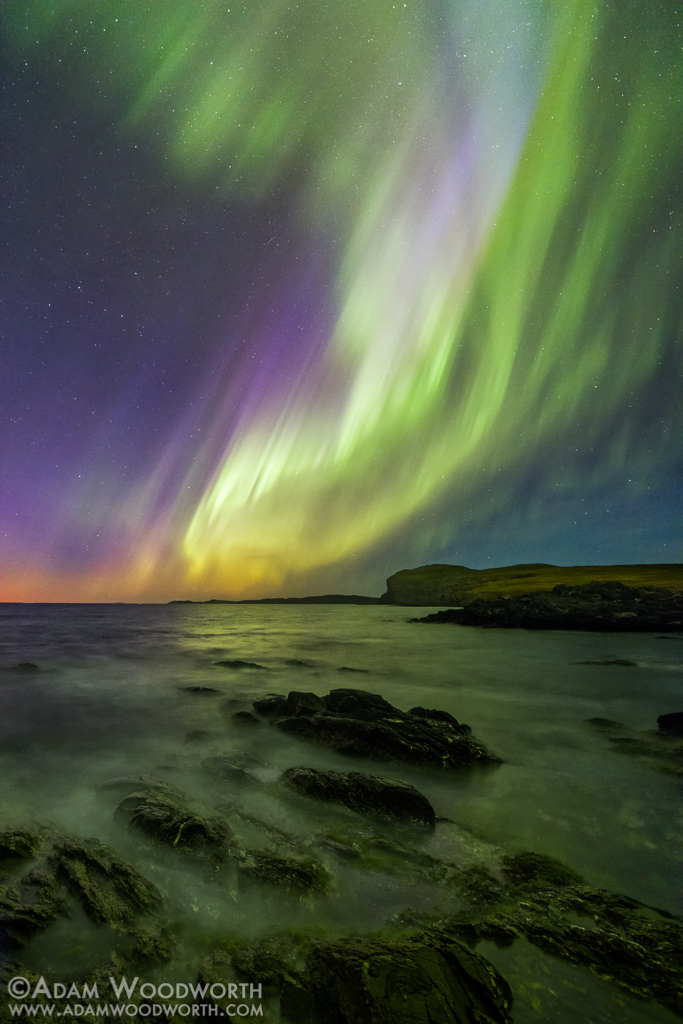 Northern Lights Over Newfoundland Make Me Happy To Be An Earthling