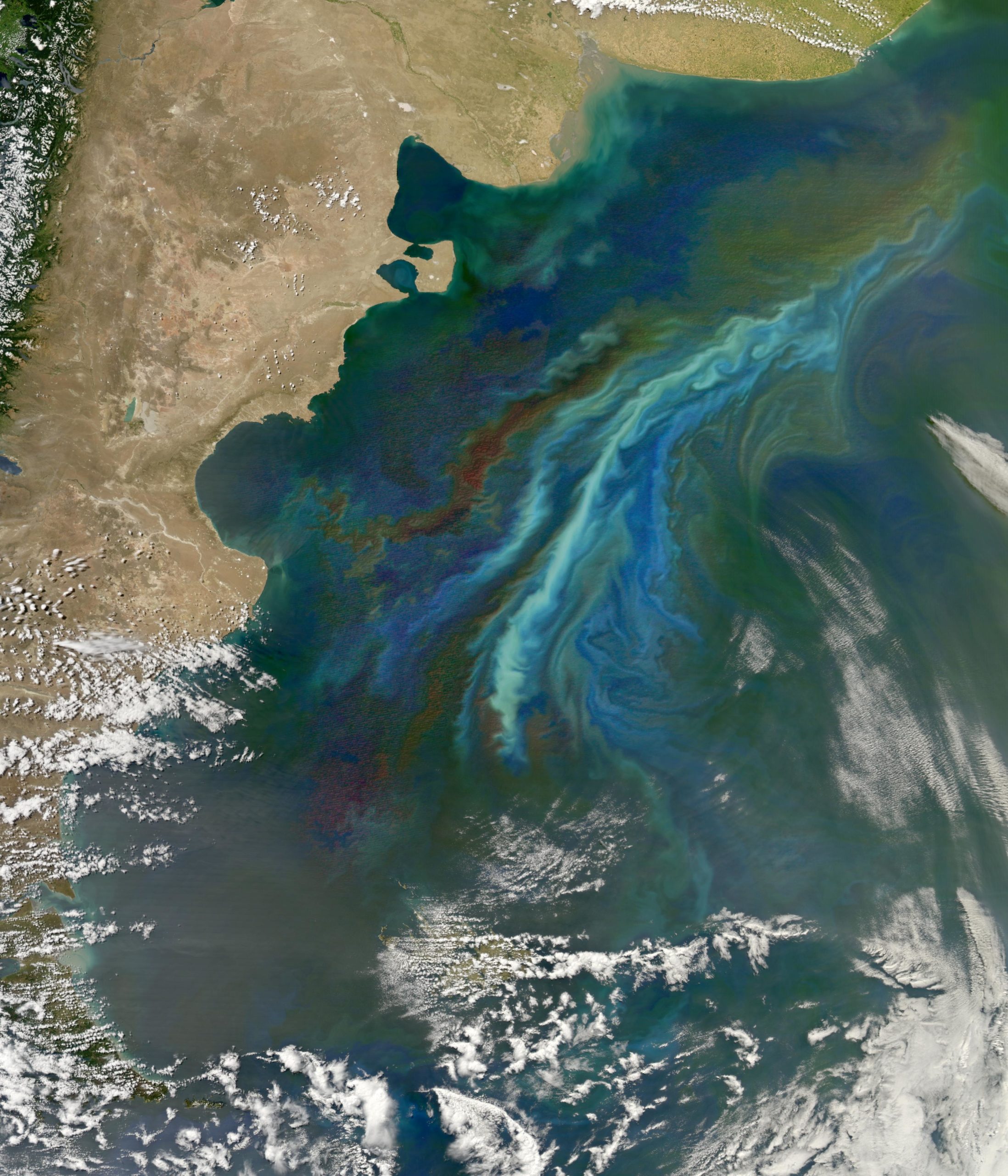 Tiny Ocean Microbes Are Brightening Up The Sky