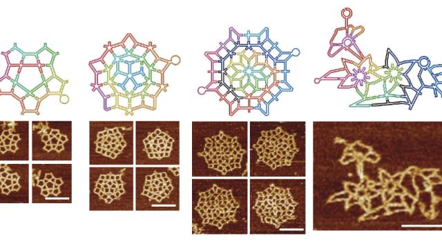 New DNA Origami Method Creates Amazingly Complex Molecular Structures