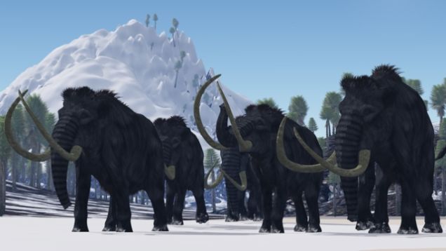 Australian Scientists Reckon Climate Change Doomed The Mammoths