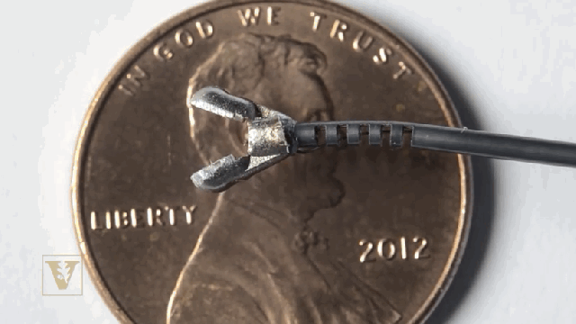 Mechanical Wrist Will Take Robotic Surgery To Places As-Yet Inoperable