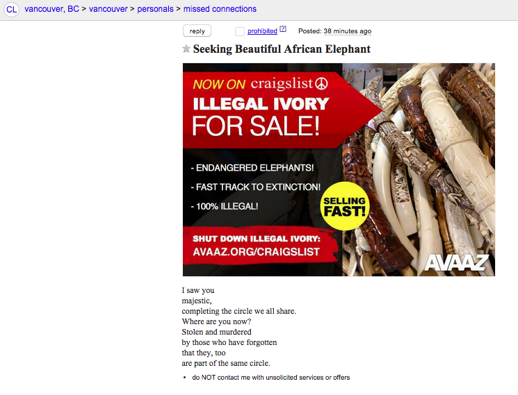 Why Is Craigslist Censoring Anti-Ivory Ads, But Not Real Ivory Sales?