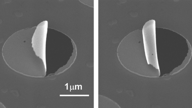 Scientists Can Now Make Nanoparticle Sheets That Curl Right Up