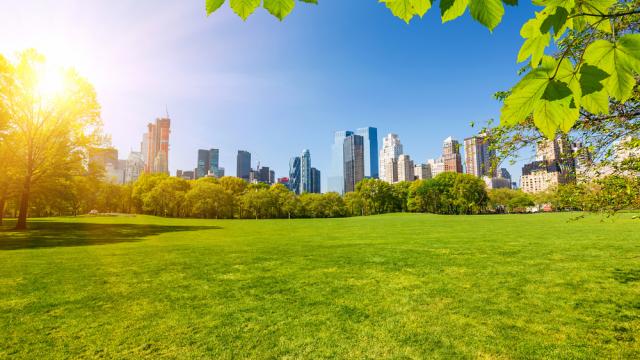 How Climate Change Will Turn NYC Into Oklahoma City In One Generation