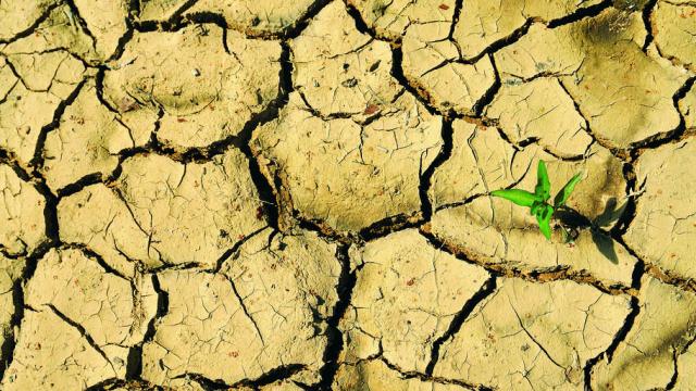 Cutting Emissions Through Biofuels Will Lead To Water Shortages