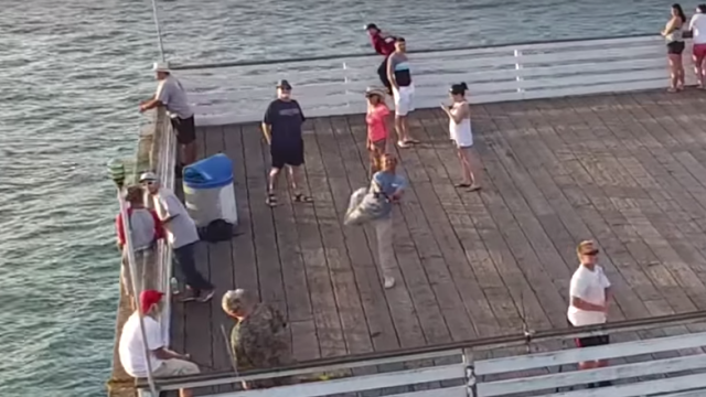 Watch A Fisherman Catch A Drone In Flight