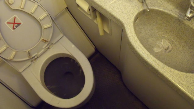 Airplane Toilets May Help Predict Future Epidemics