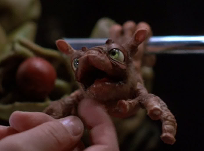 12 Aliens That Were Supposed To Be Cute But Are Actually Terrifying