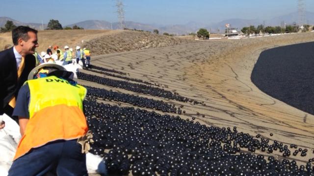 LA Dumps Millions Of Plastic Balls In City Reservoir To Fight Drought