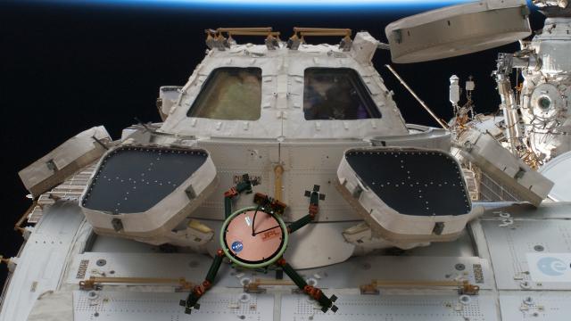 NASA’s Gecko Adhesive Can Cling On In The Vacuum Of Space