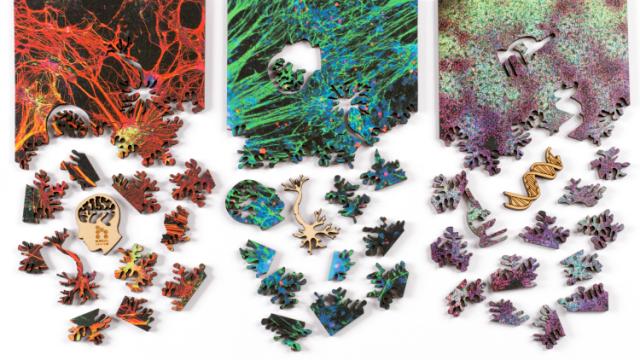 Explore The Microscopic World With These Gorgeous Scientific Puzzles