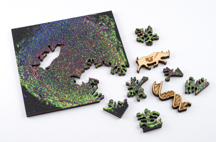 Explore The Microscopic World With These Gorgeous Scientific Puzzles