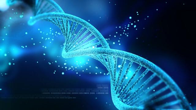 How DNA Could Replace Hard Drives