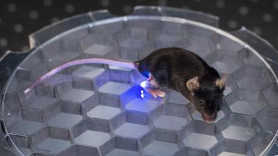 This Mouse Can Be Wirelessly Controlled With An LED Device