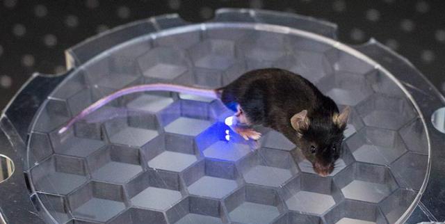 This Mouse Can Be Wirelessly Controlled With An LED Device